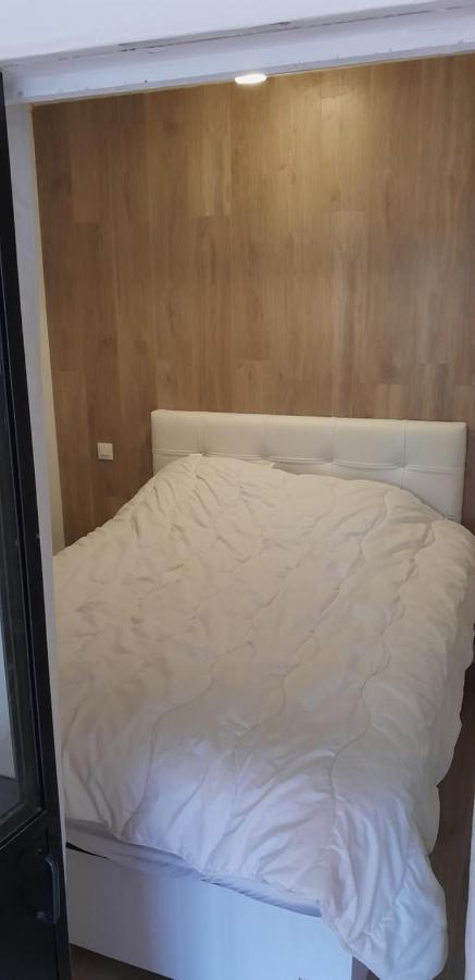 Appartement 2 Ch 40 M2 Au Pied Des Pistes De Ski Enchastrayes Eksteriør billede